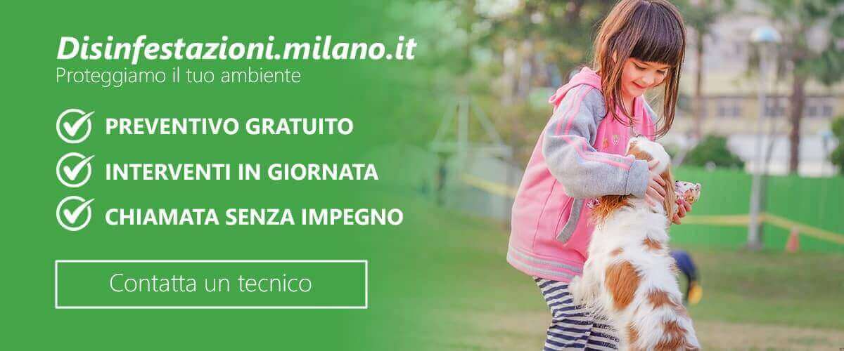 disinfestazioni-ambienti